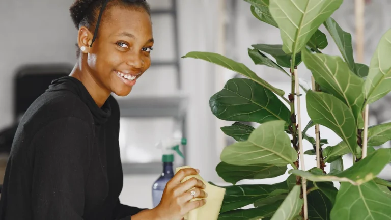 Fiddle Leaf Fig Care: Why It's Fussy and How to Keep It Happy