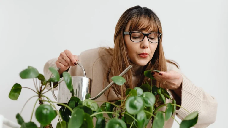How to Fertilize Houseplants: When, What, and How Much